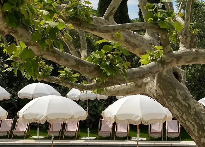 Mas Provencal D'exception Villa *